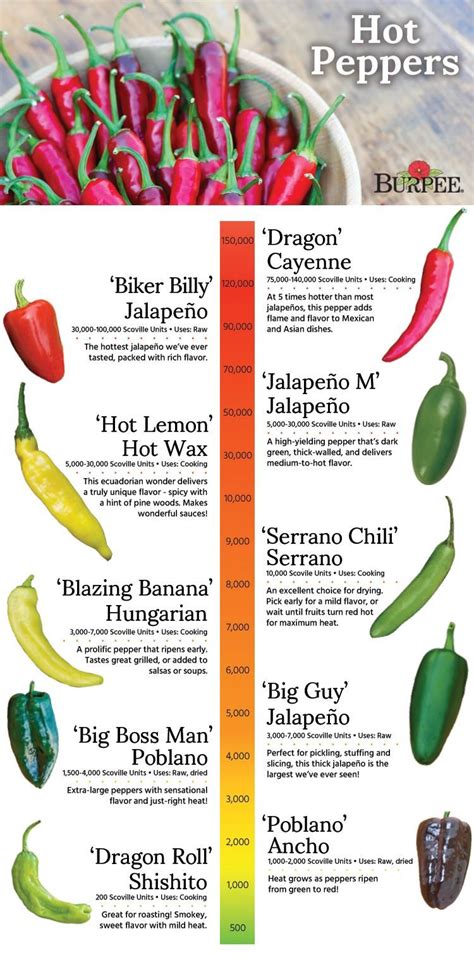 hot peppers photos|types of hot peppers chart.